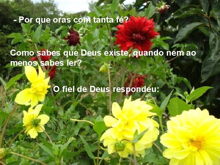 - Por que oras com tanta fé? Como sabes que Deus existe, quando nem