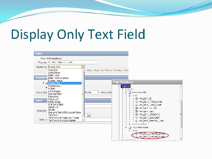 Display Only Text Field 