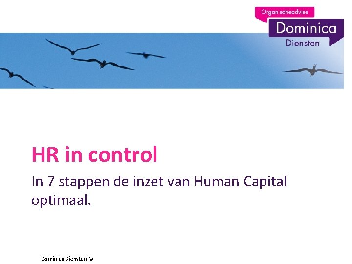 HR in control In 7 stappen de inzet van Human Capital optimaal. Dominica Diensten