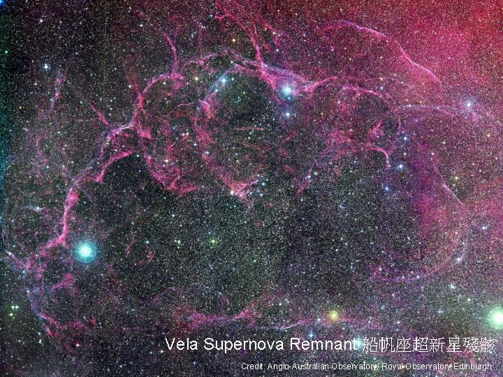Vela Supernova Remnant 船帆座超新星殘骸 Credit: Anglo-Australian Observatory/ Royal Observatory Edinburgh 