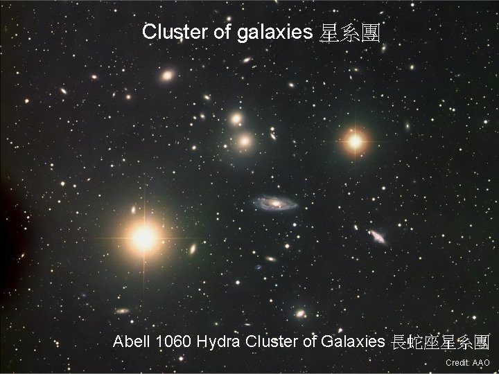 Cluster of galaxies 星系團 Abell 1060 Hydra Cluster of Galaxies 長蛇座星系團 Credit: AAO 