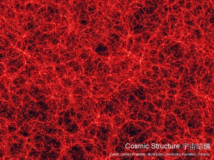 Cosmic Structure 宇宙結構 Credit: James Wadsley, Mc. Master University, Hamilton, Ontario 