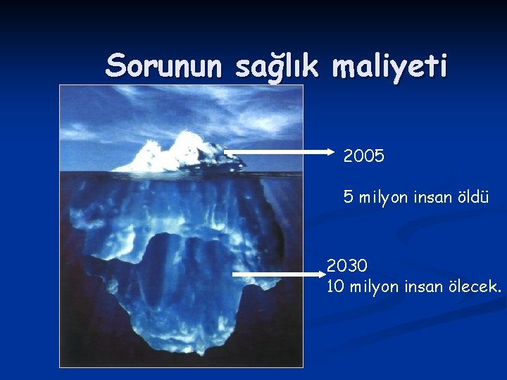 Sorunun sağlık maliyeti 2005 5 milyon insan öldü 2030 10 milyon insan ölecek. 