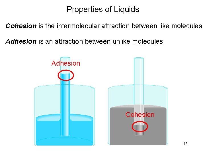 Properties of Liquids Cohesion is the intermolecular attraction between like molecules Adhesion is an