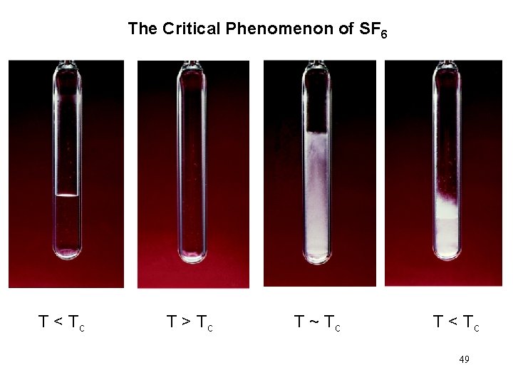 The Critical Phenomenon of SF 6 T < Tc T > Tc T ~