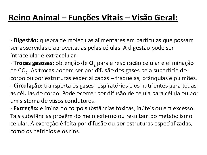 Reino Animal – Funções Vitais – Visão Geral: - Digestão: quebra de moléculas alimentares