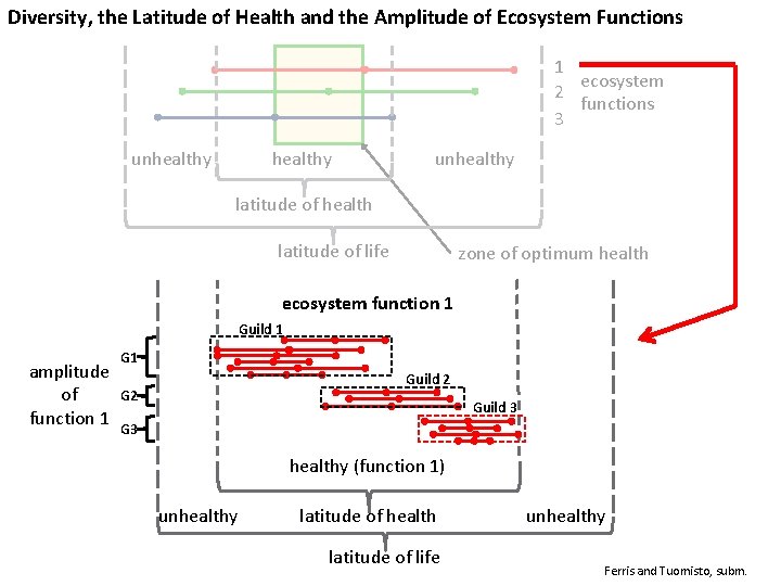 Diversity, the Latitude of Health and the Amplitude of Ecosystem Functions 1 ecosystem 2