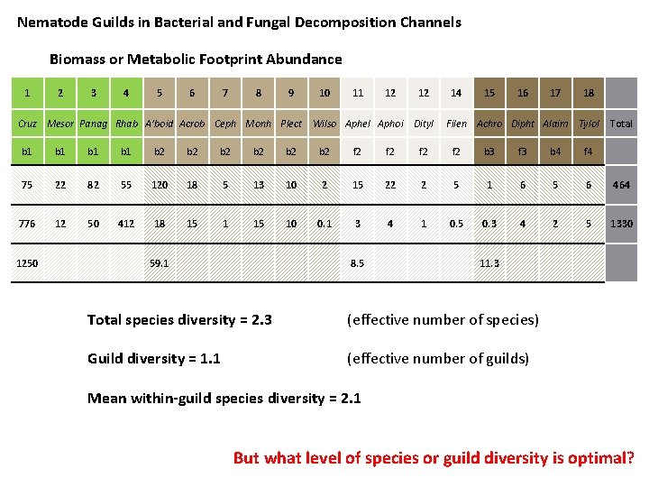 Nematode Guilds in Bacterial and Fungal Decomposition Channels Biomass or Metabolic Footprint Abundance 1