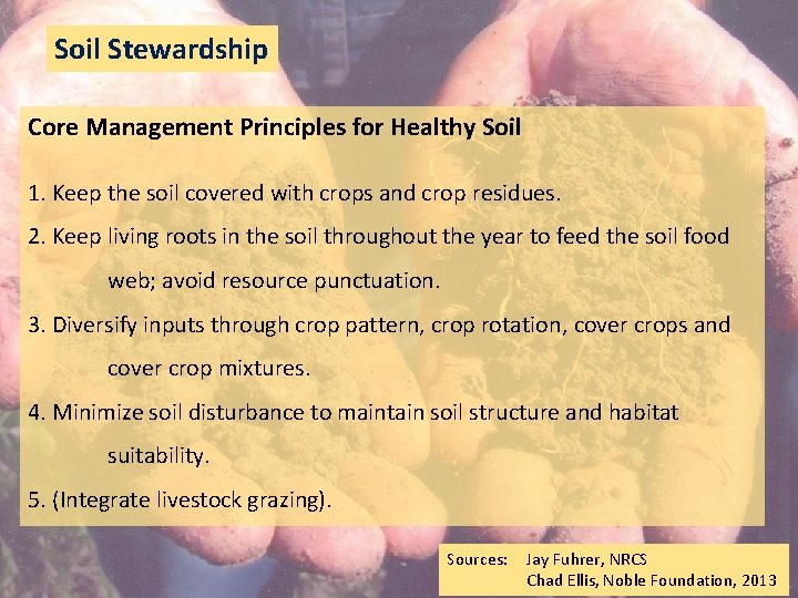 Soil Stewardship Core Management Principles for Healthy Soil 1. Keep the soil covered with