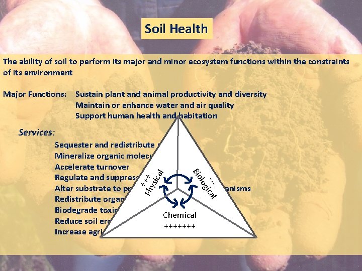 Soil Health The ability of soil to perform its major and minor ecosystem functions