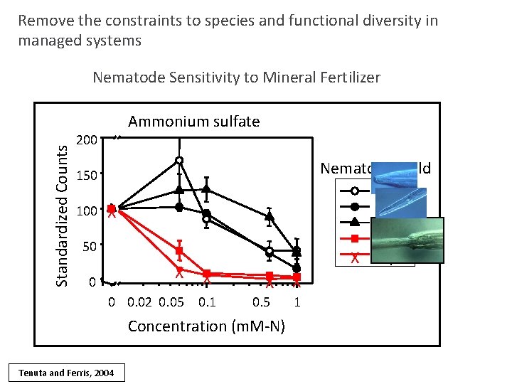 Remove the constraints to species and functional diversity in managed systems Standardized Counts Nematode