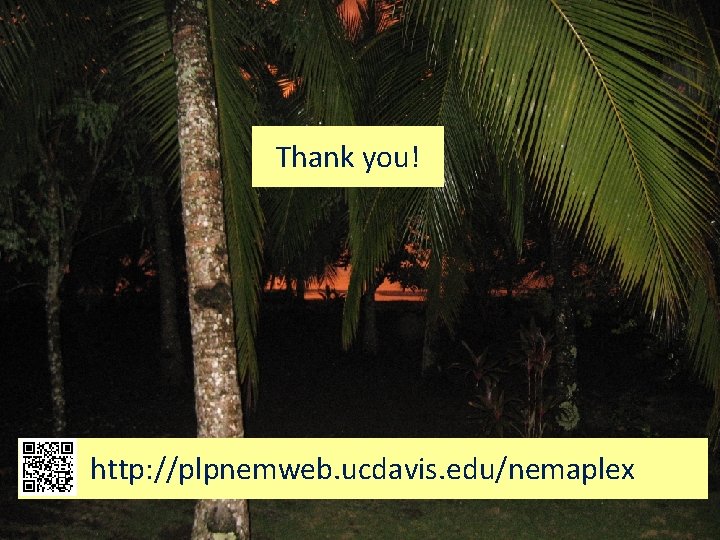 Thank you! http: //plpnemweb. ucdavis. edu/nemaplex 