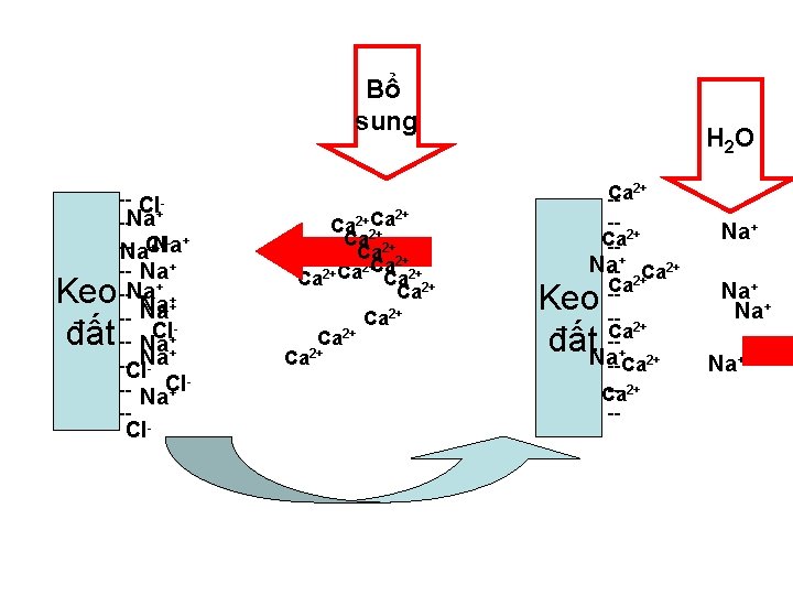 Bổ sung Keo đất -- Cl--Na+ - + +Na -Na. Cl -- Na+ --Na+