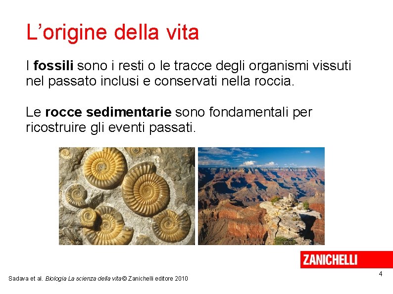 L’origine della vita I fossili sono i resti o le tracce degli organismi vissuti