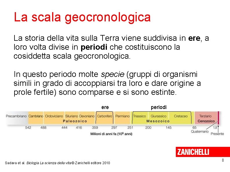 La scala geocronologica La storia della vita sulla Terra viene suddivisa in ere, a