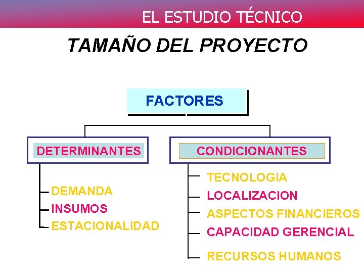 EL ESTUDIO TÉCNICO TAMAÑO DEL PROYECTO FACTORES DETERMINANTES DEMANDA INSUMOS ESTACIONALIDAD CONDICIONANTES TECNOLOGIA LOCALIZACION