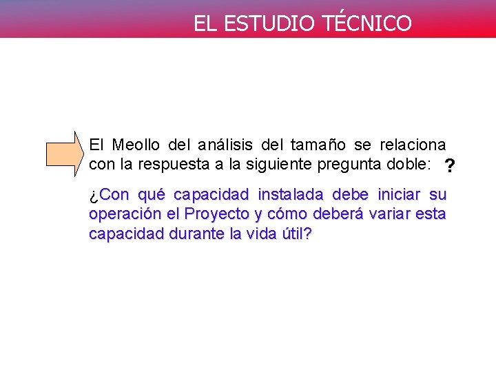 EL ESTUDIO TÉCNICO El Meollo del análisis del tamaño se relaciona con la respuesta