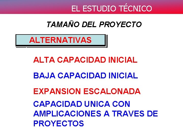 EL ESTUDIO TÉCNICO TAMAÑO DEL PROYECTO ALTERNATIVAS ALTA CAPACIDAD INICIAL BAJA CAPACIDAD INICIAL EXPANSION