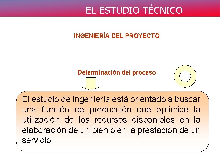 EL ESTUDIO TÉCNICO INGENIERÍA DEL PROYECTO Determinación del proceso El estudio de ingeniería está