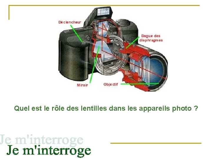 Quel est le rôle des lentilles dans les appareils photo ? 