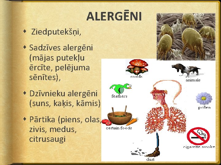 ALERGĒNI Ziedputekšņi, Sadzīves alergēni (mājas putekļu ērcīte, pelējuma sēnītes), Dzīvnieku alergēni (suns, kaķis, kāmis)