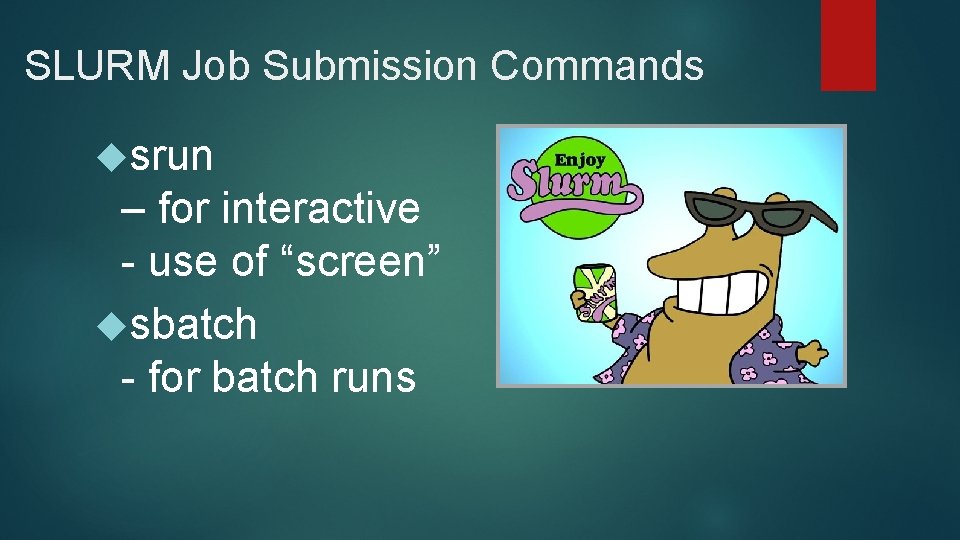 SLURM Job Submission Commands srun – for interactive - use of “screen” sbatch -