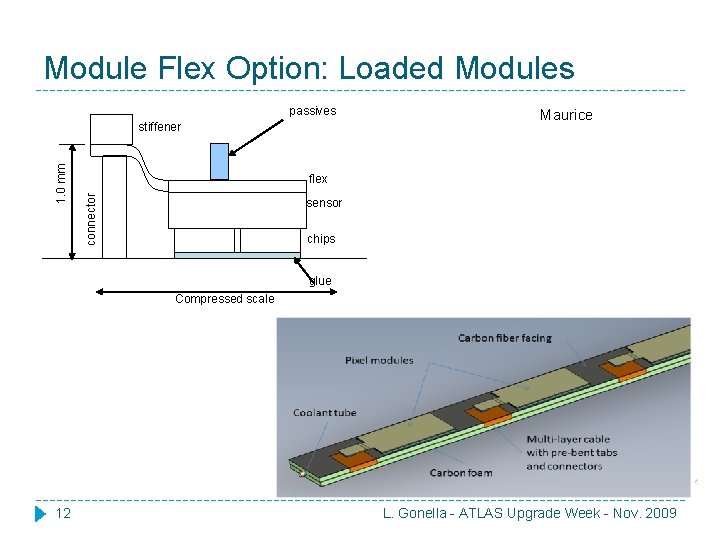 Module Flex Option: Loaded Modules passives Maurice flex connector 1. 0 mm stiffener sensor