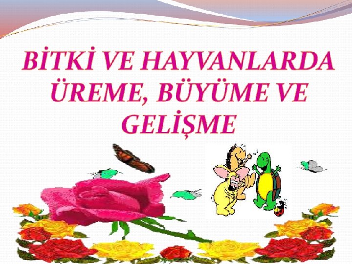 BİTKİ VE HAYVANLARDA ÜREME BÜYÜME VE GELİŞME 1 