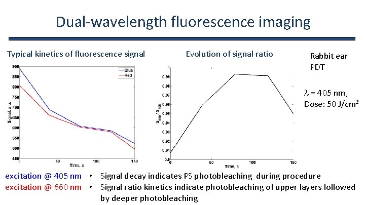 Dual-wavelength fluorescence imaging Typical kinetics of fluorescence signal Evolution of signal ratio Rabbit ear