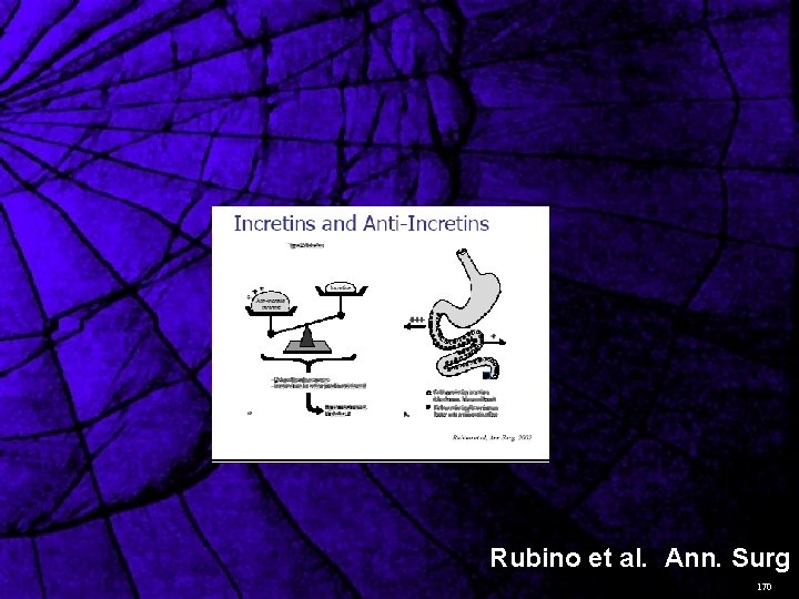 Rubino et al. Ann. Surg 2 170 