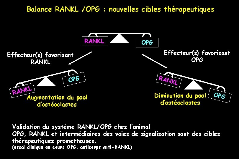 Balance RANKL /OPG : nouvelles cibles thérapeutiques RANKL Effecteur(s) favorisant RANKL OPG KL Augmentation