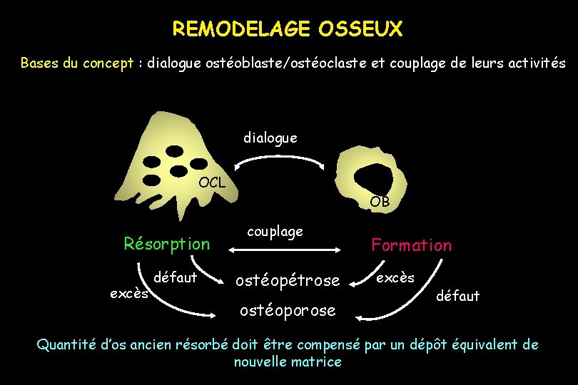 REMODELAGE OSSEUX Bases du concept : dialogue ostéoblaste/ostéoclaste et couplage de leurs activités dialogue