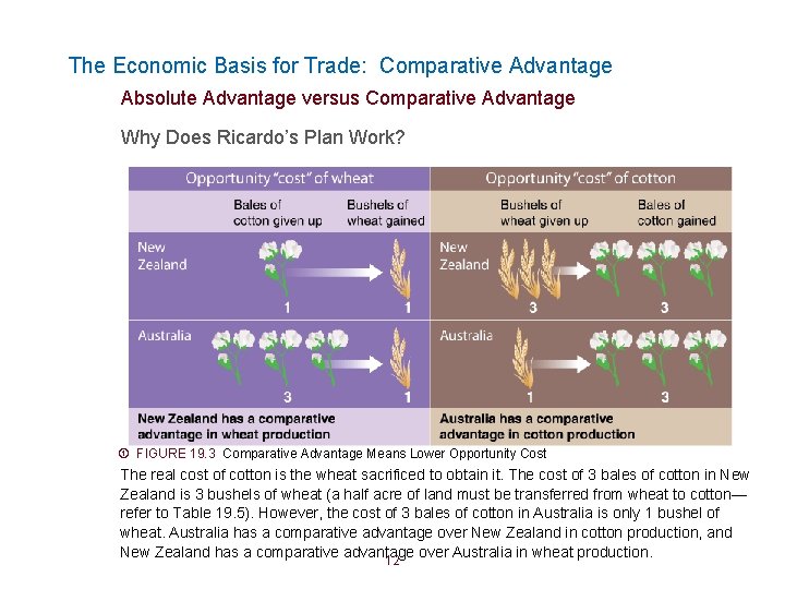 The Economic Basis for Trade: Comparative Advantage Absolute Advantage versus Comparative Advantage Why Does