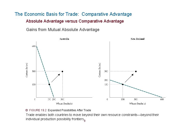 The Economic Basis for Trade: Comparative Advantage Absolute Advantage versus Comparative Advantage Gains from