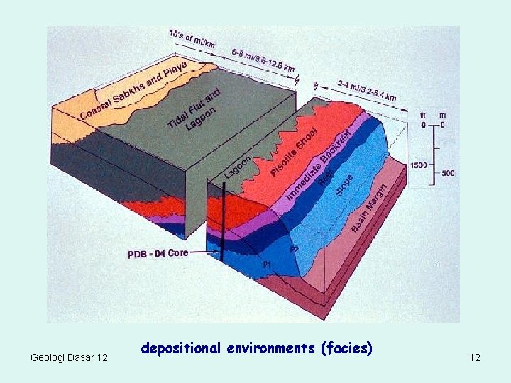 Geologi Dasar 12 depositional environments (facies) 12 