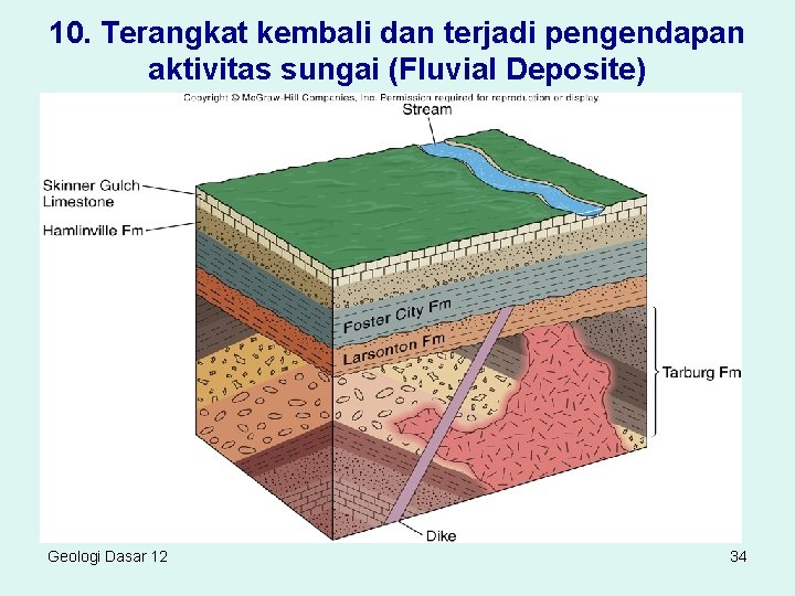 10. Terangkat kembali dan terjadi pengendapan aktivitas sungai (Fluvial Deposite) Geologi Dasar 12 34