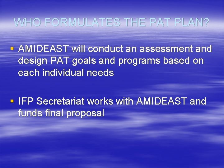 WHO FORMULATES THE PAT PLAN? § AMIDEAST will conduct an assessment and design PAT