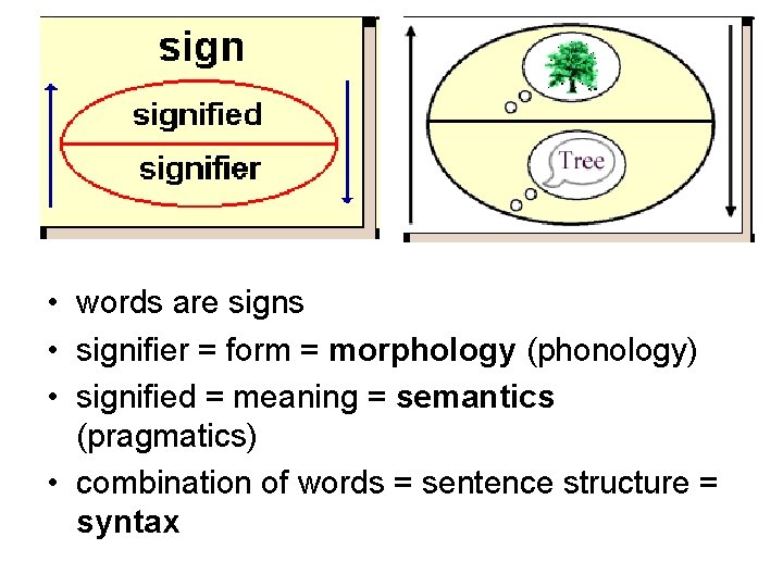  • words are signs • signifier = form = morphology (phonology) • signified