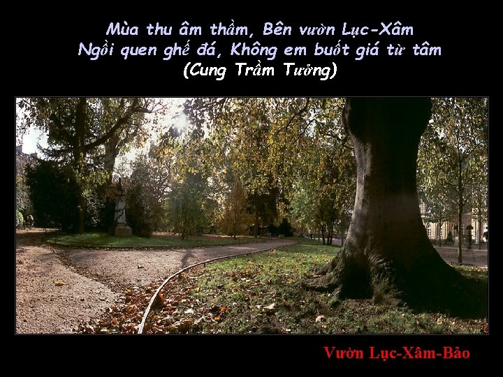 Mùa thu âm thầm, Bên vườn Lục-Xâm Ngồi quen ghế đá, Không em buốt