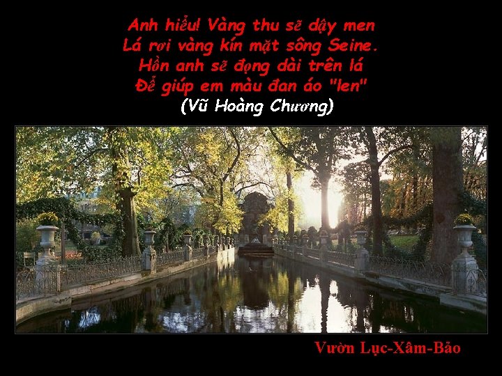 Anh hiểu! Vàng thu sẽ dậy men Lá rơi vàng kín mặt sông Seine.