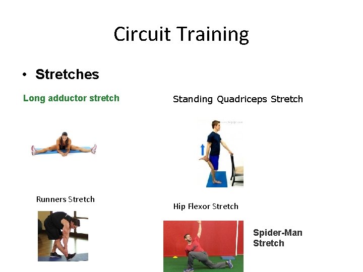 Circuit Training • Stretches Long adductor stretch Runners Stretch Standing Quadriceps Stretch Hip Flexor