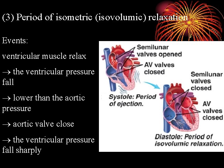 (3) Period of isometric (isovolumic) relaxation Events: ventricular muscle relax the ventricular pressure fall