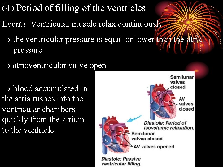 (4) Period of filling of the ventricles Events: Ventricular muscle relax continuously the ventricular