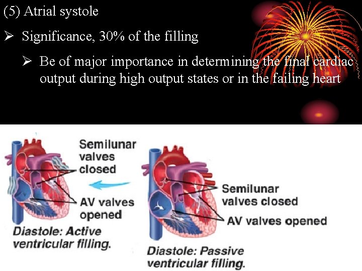 (5) Atrial systole Ø Significance, 30% of the filling Ø Be of major importance