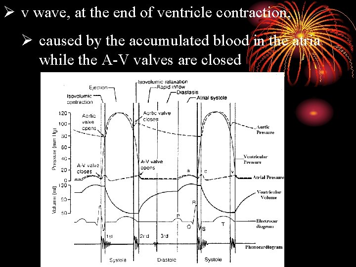 Ø v wave, at the end of ventricle contraction, Ø caused by the accumulated