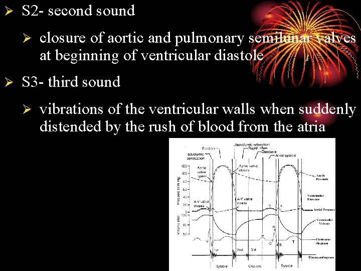 Ø S 2 - second sound Ø Ø closure of aortic and pulmonary semilunar
