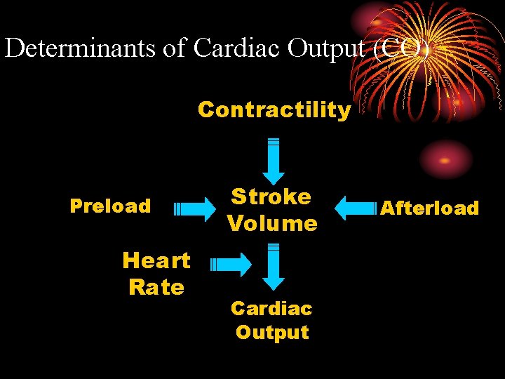 Determinants of Cardiac Output (CO) Contractility Preload Heart Rate Stroke Volume Cardiac Output Afterload