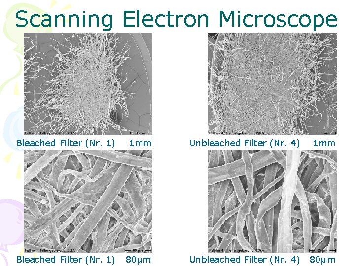 Scanning Electron Microscope Bleached Filter (Nr. 1) 1 mm Unbleached Filter (Nr. 4) 1