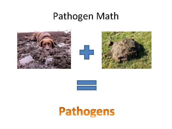 Pathogen Math 
