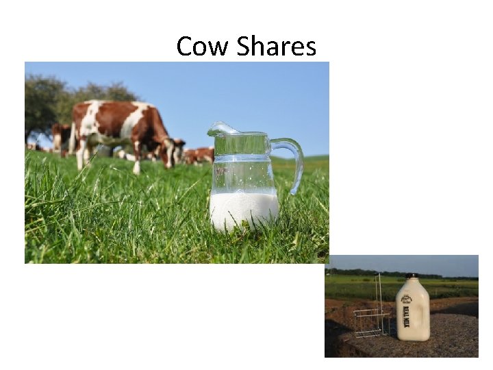 Cow Shares 